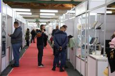 Mini IMG 1475